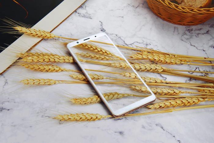 vivo X20到底怎么样值得买么？