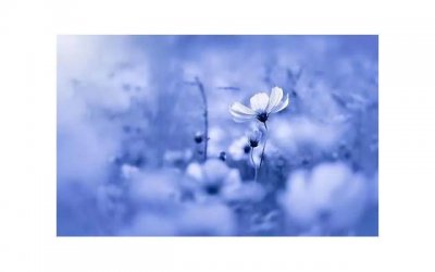 ​女生长胡子是什么原因（女生长小胡子的正确消除方法）