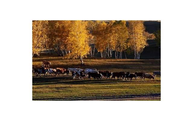 教你如何快速找到对象，如何成为一个好对象