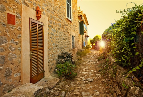 农村加工厂项目合作 适合农村开办的加工厂