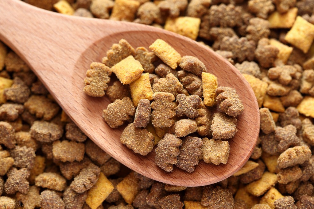 猫黑下巴怎么去除（猫咪黑下巴去除小技巧介绍）