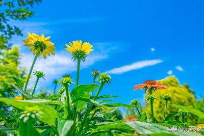 ​无聊可以做什么？我们可以做这些事情！