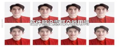​证件照没露耳朵能用吗