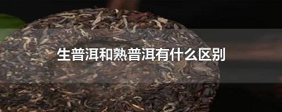 ​生普洱和熟普洱有什么区别百度百科 生普洱和熟普洱有什么区别 知乎