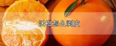 ​沃柑怎么剥皮