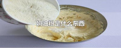 ​奶油粉是什么东西