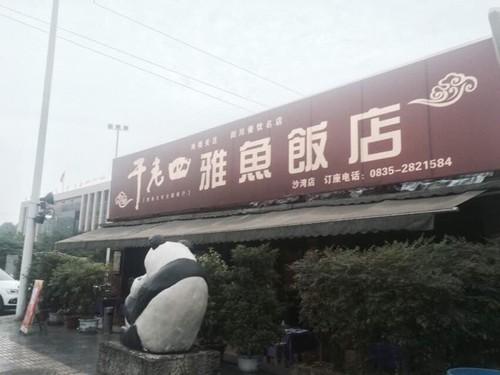 川藏318雅安打卡地（国道318川藏线自驾）(4)