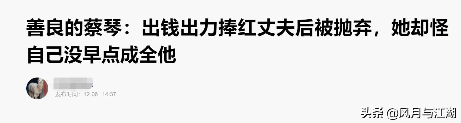 蔡琴经典老歌34首完整版（明天会更好的歌手们之蔡琴）(4)