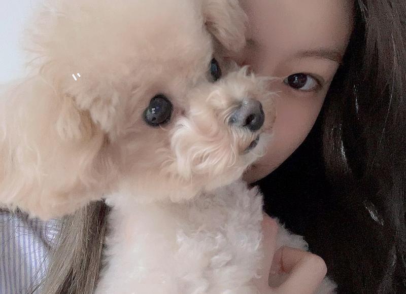 怎样挽回出轨的妻子，如何挽回出轨的妻子?