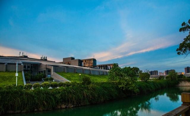 中南大学报什么专业好（34中南大学）(9)