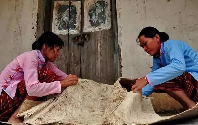 最毒的树有多可怕（能把自己毒死的毒树）(8)