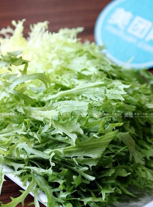 苦菊生吃好还是煮熟了吃好