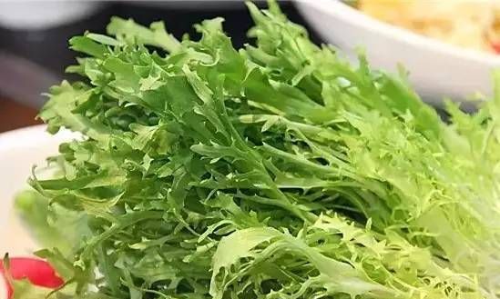 苦菊能不能生吃吗