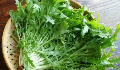 ​苦菊生吃好还是熟吃好,苦菊可以生吃的功效