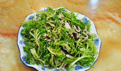 苦菊直接吃可以吃吗