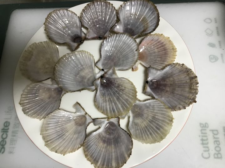 蒜蓉扇贝肉的做法（蒜蓉粉丝蒸扇贝的做法步骤）