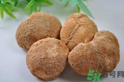 ​猴头菇粉怎么做？猴头菇饼干怎么做？