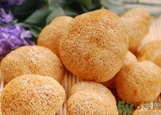 猴头菇粉怎么做？猴头菇饼干怎么做？