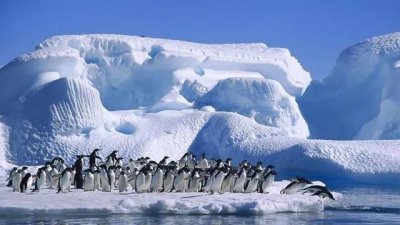 ​真正的冰冻之国，生活在零下50度的雅库特人能吃什么？