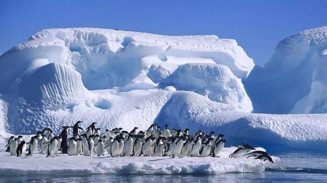 真正的冰冻之国，生活在零下50度的雅库特人能吃什么？