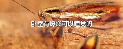 ​房间有蟑螂能睡觉吗 屋里有蟑螂还能睡觉吗