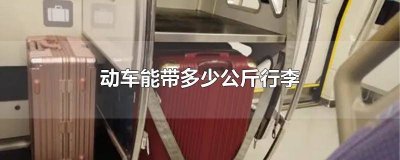 ​动车能带多少斤行李 动车可以带多少公斤行李