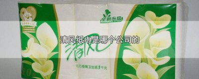 ​清风纸巾生产厂家在哪里 清风纸巾集团