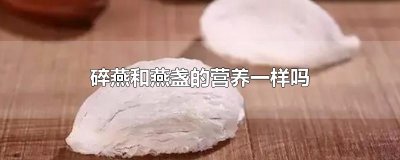 ​碎燕和燕盏的营养一样吗