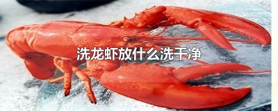 ​洗龙虾放什么洗干净