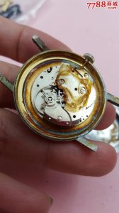 ​古墓出土瑞士手表（现代史上未解之谜）