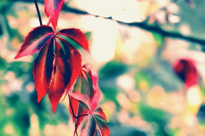 生活大男子主义是什么样的表现(他们有这3个明显特征) 1