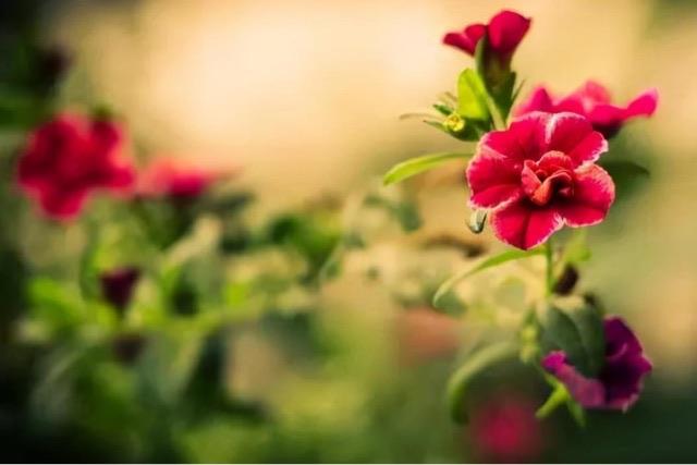 生活大男子主义是什么样的表现(他们有这3个明显特征) 3