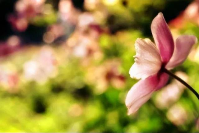 生活大男子主义是什么样的表现(他们有这3个明显特征) 4