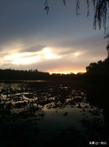 长痛不如短痛的含义?长痛不如短痛的文案-第1张图片-