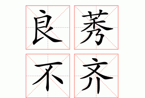 参差不齐和良莠不齐的意思一样吗