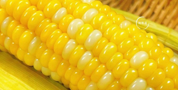 玉米隔水蒸几分钟才能熟