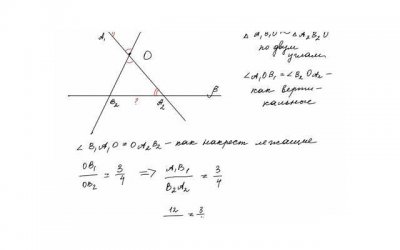 ​中餐厅第三季嘉宾（中餐厅第三季嘉宾有哪些）